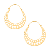 Ailuros Gold Earrings